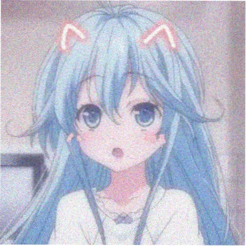 观众纸箱里的猫的头像